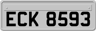 ECK8593