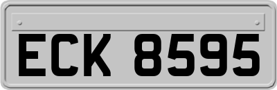 ECK8595