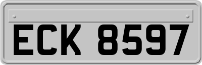 ECK8597