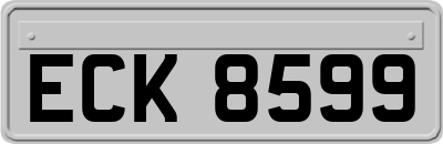ECK8599