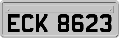 ECK8623