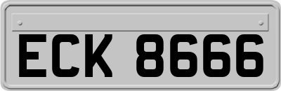 ECK8666