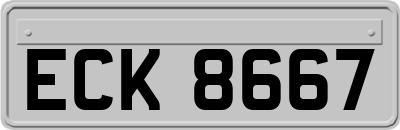 ECK8667