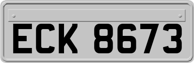 ECK8673