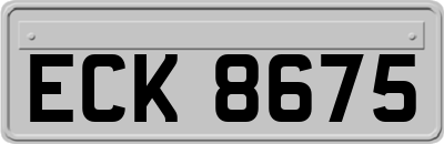 ECK8675