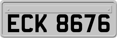 ECK8676