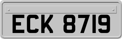 ECK8719