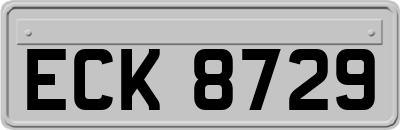 ECK8729
