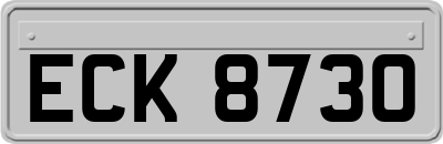 ECK8730