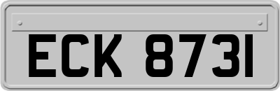 ECK8731