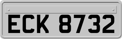 ECK8732