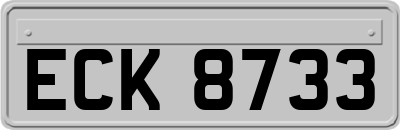 ECK8733