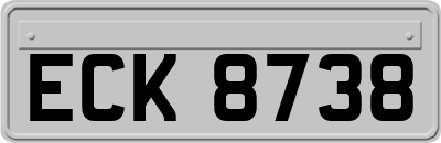 ECK8738