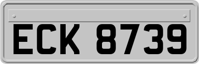 ECK8739