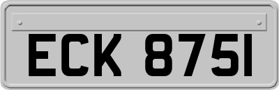 ECK8751
