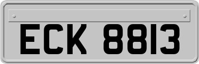 ECK8813