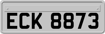 ECK8873