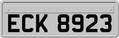 ECK8923