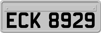 ECK8929