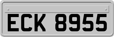 ECK8955