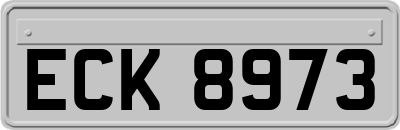 ECK8973