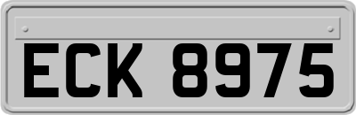 ECK8975