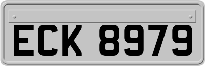 ECK8979