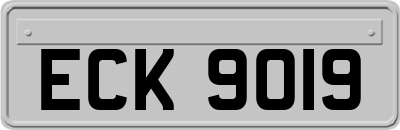 ECK9019