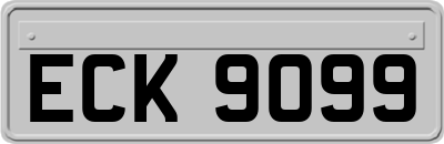 ECK9099