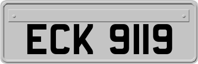 ECK9119