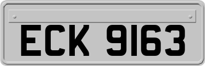 ECK9163