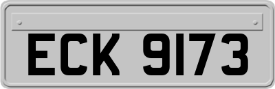 ECK9173