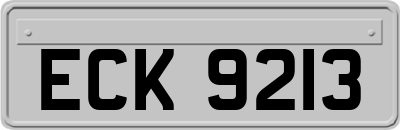 ECK9213