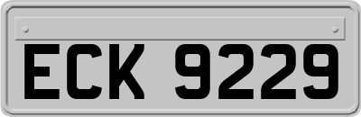ECK9229