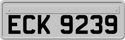 ECK9239
