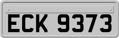 ECK9373