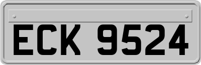 ECK9524