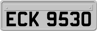 ECK9530