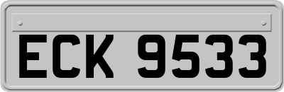 ECK9533