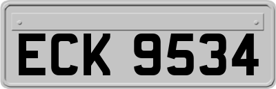 ECK9534