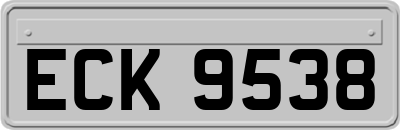 ECK9538