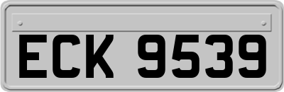 ECK9539