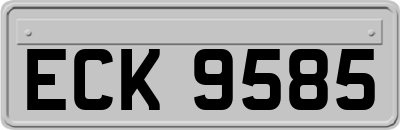 ECK9585