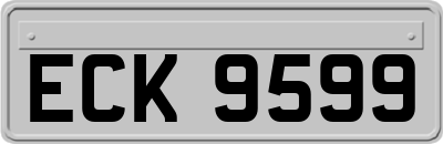 ECK9599