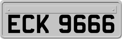ECK9666