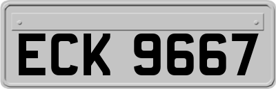 ECK9667