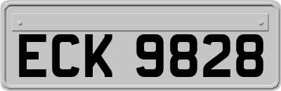 ECK9828