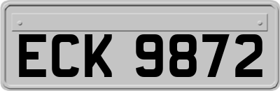 ECK9872