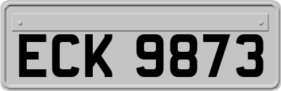 ECK9873