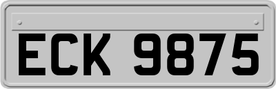ECK9875